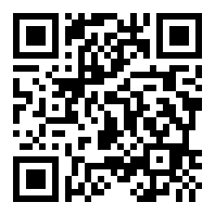 白帽SEO实战建站+算法+布局