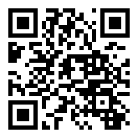 自由人：游击战争