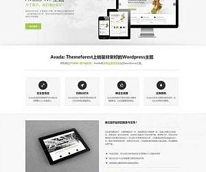 Avada多功能企业主题去授权无限制版本(更新V5.8.2)WordPress主题模板