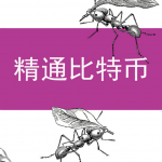 精通比特币（第一版）