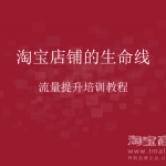 淘宝店铺的生命线-流量提升培训教程_电商运营教程