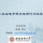 中小企业电子商务使用行为深度分析_电商运营教程