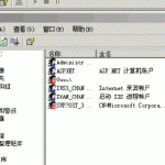 IIS多站点用户隔离教程flash版_服务器教程