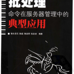 批处理命令在服务器管理中的典型应用 中文PDF_服务器教程