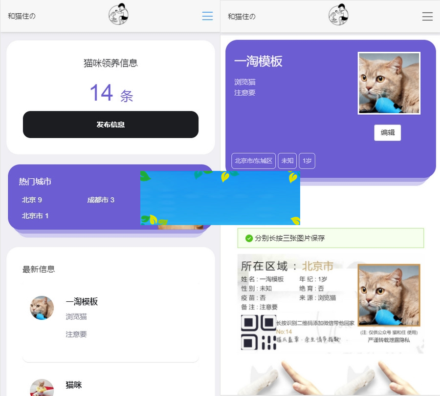 最新流浪猫流浪狗H5完整运营源码下载/可封装APP