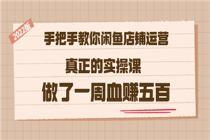 2022版《手把手教你闲鱼店铺运营》真正的实操课 做了一周血赚五百 (16节课)