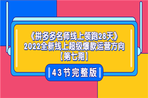 《拼多多名师线上领跑28天》2022全新线上超级爆款运营方向【第七期】43节课