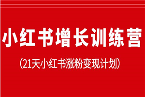小红书增长训练营，21天小红书涨粉变现计划