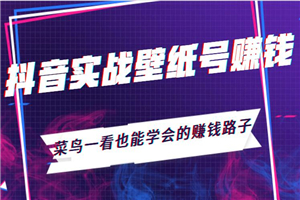 抖音实战壁纸号赚钱：菜鸟一看也能学会的赚钱路子