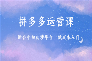 拼多多运营课，适合小白初涉平台，低成本入门 创造销量和利润的方法