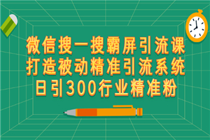 微信搜一搜霸屏引流课，打造被动精准引流系统 日引300行业精准粉