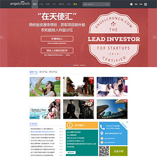 价值268元的迪恩angel风格discuz模板