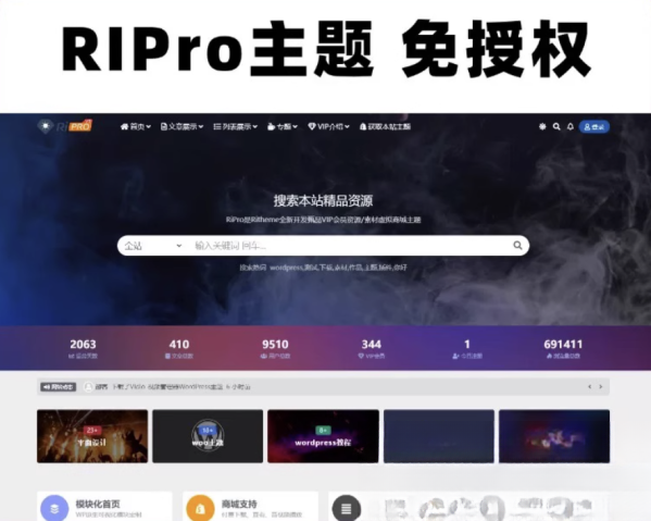 WordPress模板日主题资源下载主题源码模板 RiPro v8.5 开心版
